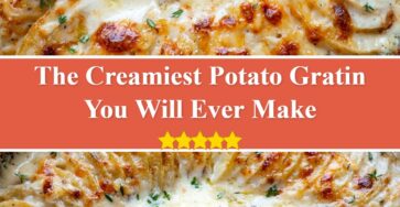 Potato Gratin