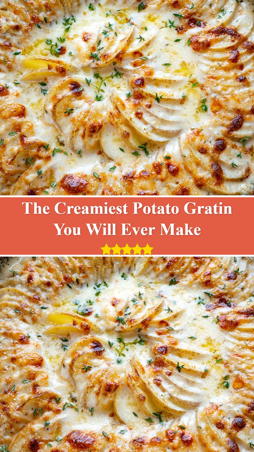 Potato Gratin